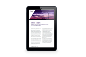 Armis and Eseye Solution Brief