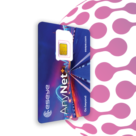 AnyNet+ SIM