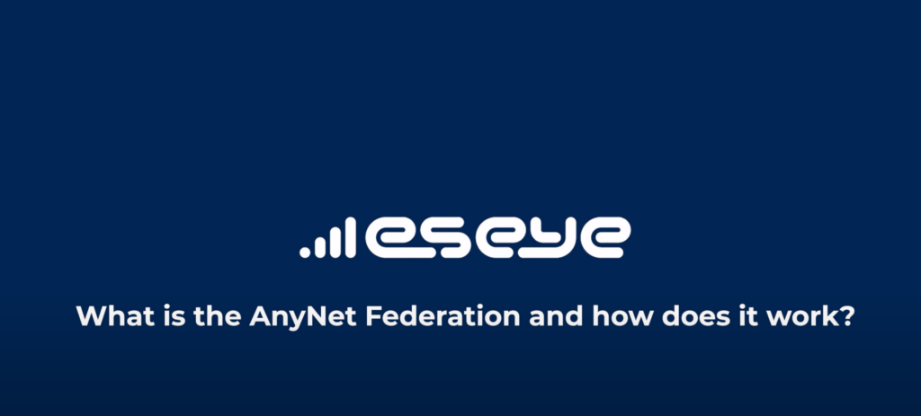 What is the AnyNet Federation and how does it work?