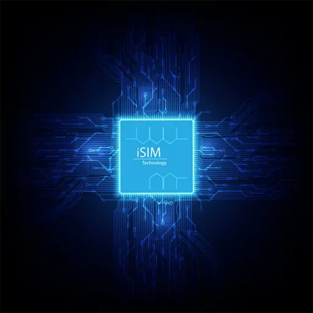 What is iSIM?