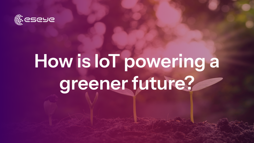 Harnessing IoT for a Greener Future: Celebrating World Environment Day