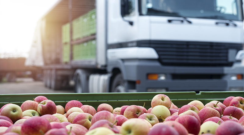 IoT in the Supply Chain