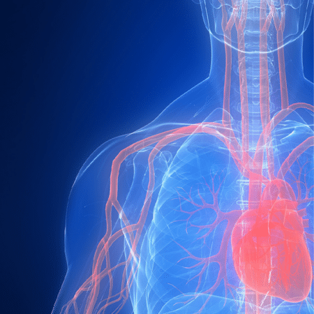How is IoT Performing in the Healthcare and Medical Devices Market?