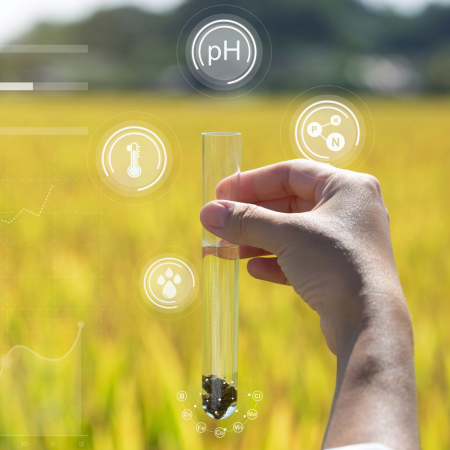 IoT in Environmental Monitoring: A Breath of Fresh Air