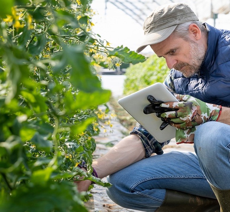Why is IoT Connectivity Crucial to Cold Chain Monitoring?