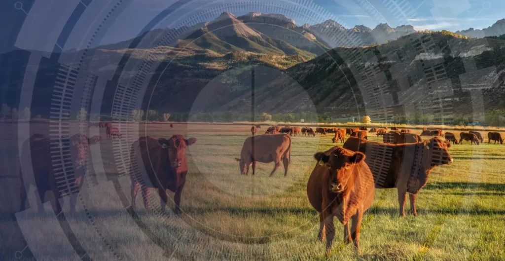 Precision Animal Solutions