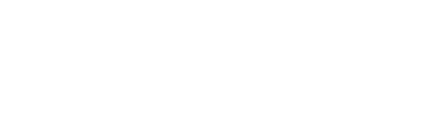 White logo with a stylized wing or signal icon on the left, and the words ANYNET FEDERATION in bold uppercase letters on a light gray background.