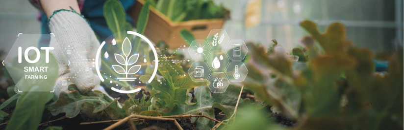 Smart soil sensors 