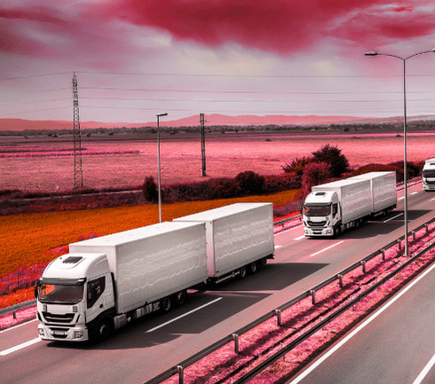 Three large white trucks drive on a divided highway through a rural landscape with open fields under a dramatic pink sky.