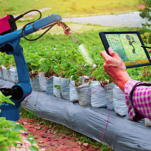 A person uses a tablet powered by IoT for Agritech to control a blue robotic arm spraying plants in a greenhouse, showcasing technology and automation in agriculture.